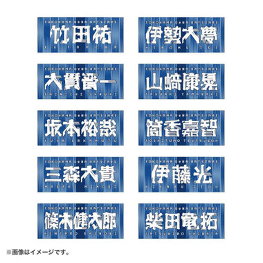 令和ロマン 交流戦 タオル DeNA、令和ロマンとコラボ 交流戦の応援隊長 タオルや