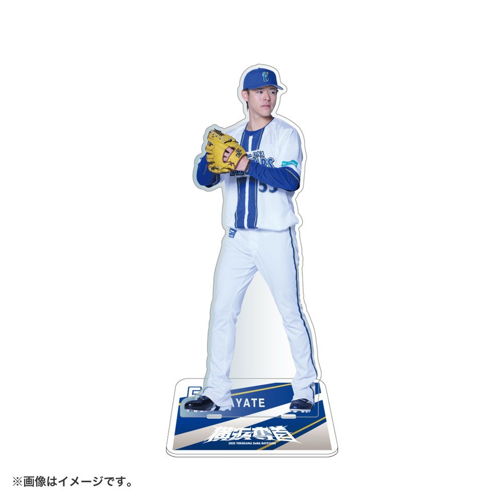 dena ベイスターズ　ゆらゆらアクリルスタンド　コンプリート　全20種類 8/18(金)より会員限定「ゆらゆらアクリルスタンド」発売