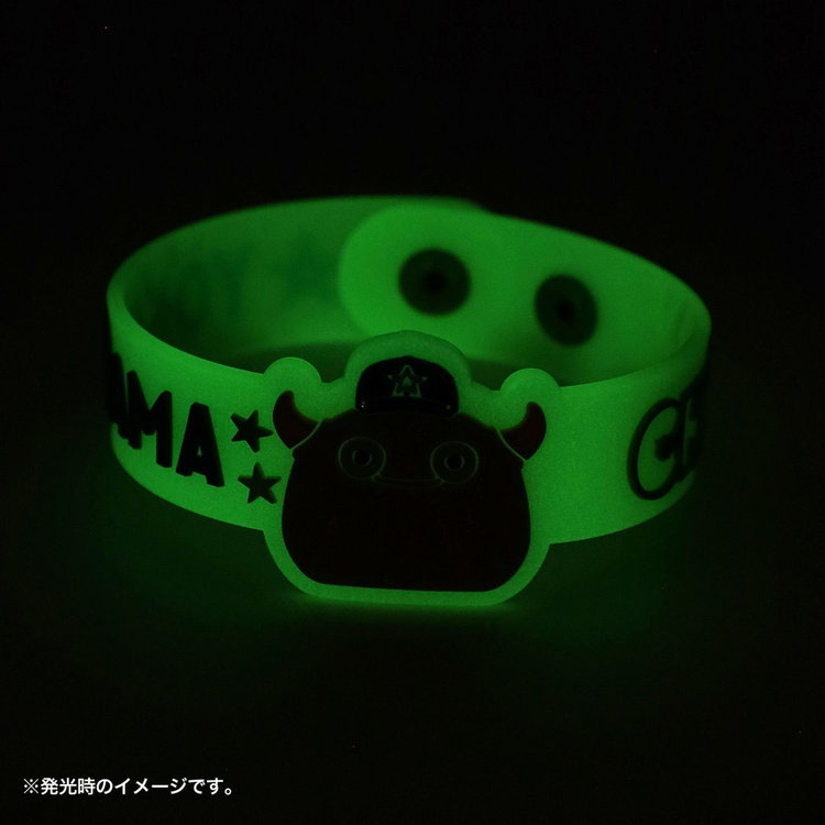 蓄光ラバーバンド/CHAPY（ydb4570199863763）|商品詳細|BAYSTORE
