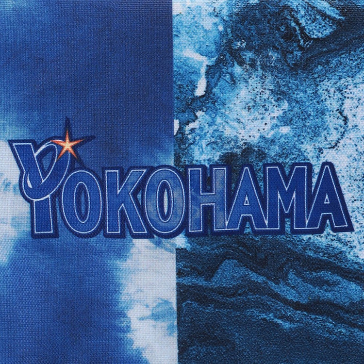 Yokohama BayStars ジャケット Amazon.co.jp: Descente Yokohama DeNA Baystars Authentic