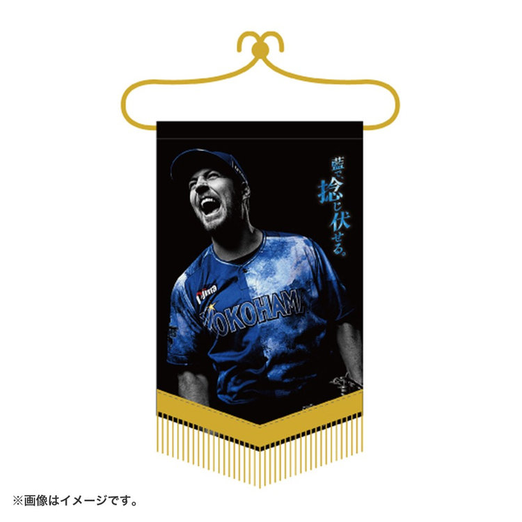 ナイト YOKOHAMA STAR☆NIGHT 2025/ペナント(ydb4573675987229)|商品