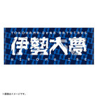 【10月10日(金)までにお届け】2025 JERA クライマックスシリーズ セ/選手名タオル