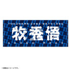 【10月10日(金)までにお届け】2025 JERA クライマックスシリーズ セ/選手名タオル