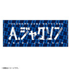 【10月10日(金)までにお届け】2025 JERA クライマックスシリーズ セ/選手名タオル