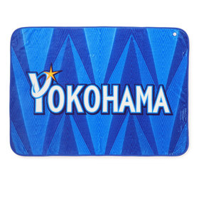 ブランケット/VISITOR