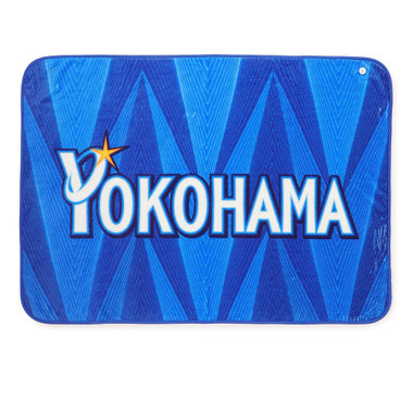 ブランケット/VISITOR