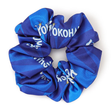 シュシュ/VISITOR