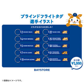 ブラインドフライトタグ/選手イラスト