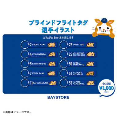 ブラインドフライトタグ/選手イラスト