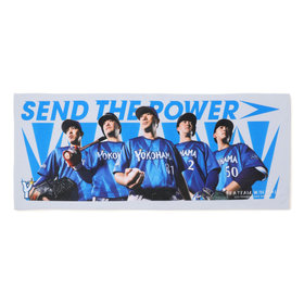 2026 VISITORビジュアル/フェイスタオル