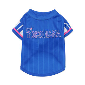 YOKOHAMA GIRLS☆FESTIVAL 2026/ドッグシャツ