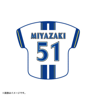 trim_fce_item6a27772fc1667.jpg
