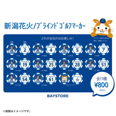 新潟花火デザイン/ブラインドゴルフマーカー