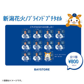 新潟花火デザイン/ブラインドプチタオル