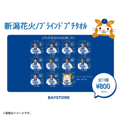 新潟花火デザイン/ブラインドプチタオル