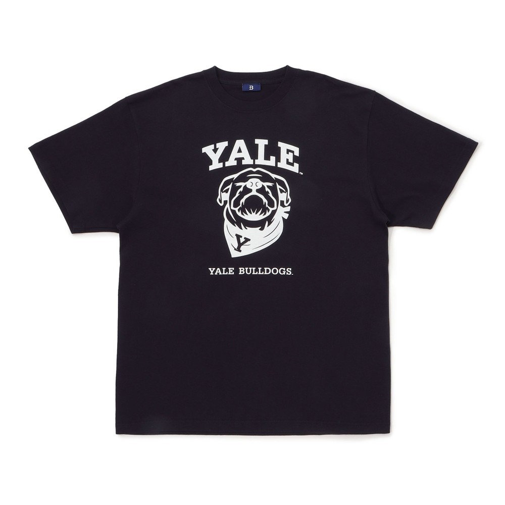 trim_fce_item646dadb239363.jpg
