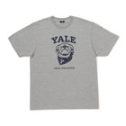 【+B】/YALE BULLDOGS/Tシャツ