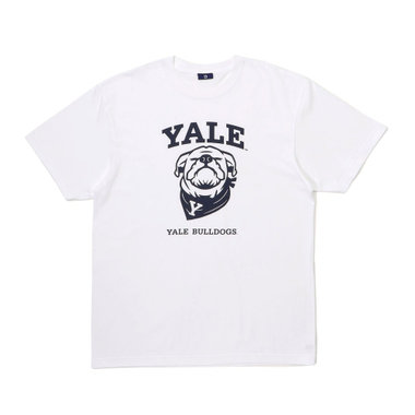 trim_fce_item646dada977361.jpg