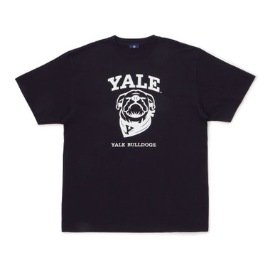 trim_fce_item646dadb239363.jpg