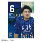 2022/横浜DeNAベイスターズオフィシャルカレンダー/選手