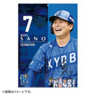 2022/横浜DeNAベイスターズオフィシャルカレンダー/選手