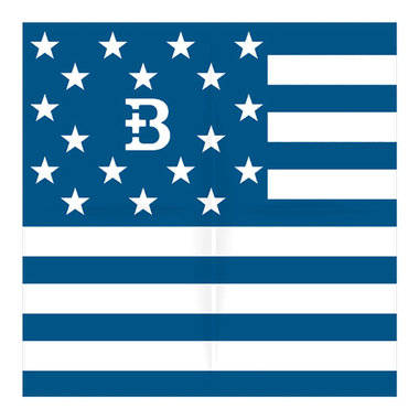 B] バンダナ (星柄国旗風)（ydb9975524）|商品詳細|BAYSTORE ONLINE
