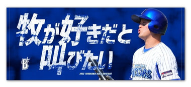 NEWS|BAYSTORE ONLINE
