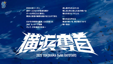 石川雄洋【背番号キーホルダー】全14種コンプリート 石川雄洋【背番号キーホルダー】全14種コンプリート - メルカリ